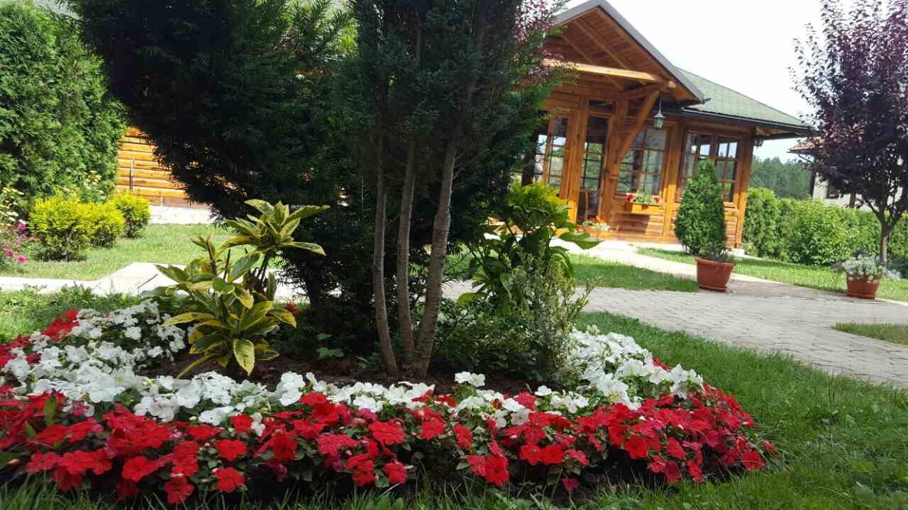 Guest House Vila Zunic Zlatibor Buitenkant foto