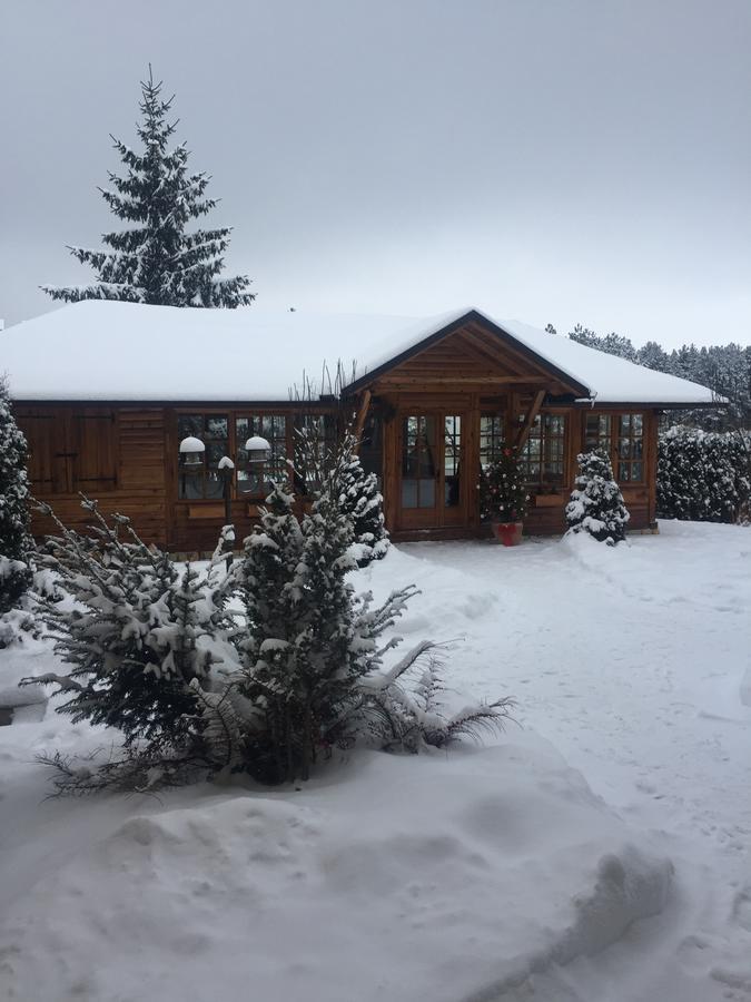 Guest House Vila Zunic Zlatibor Buitenkant foto